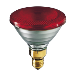 Philips PAR38