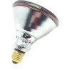 Philips PAR38