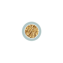 Avena Decorticata lukštentos avižos 1kg