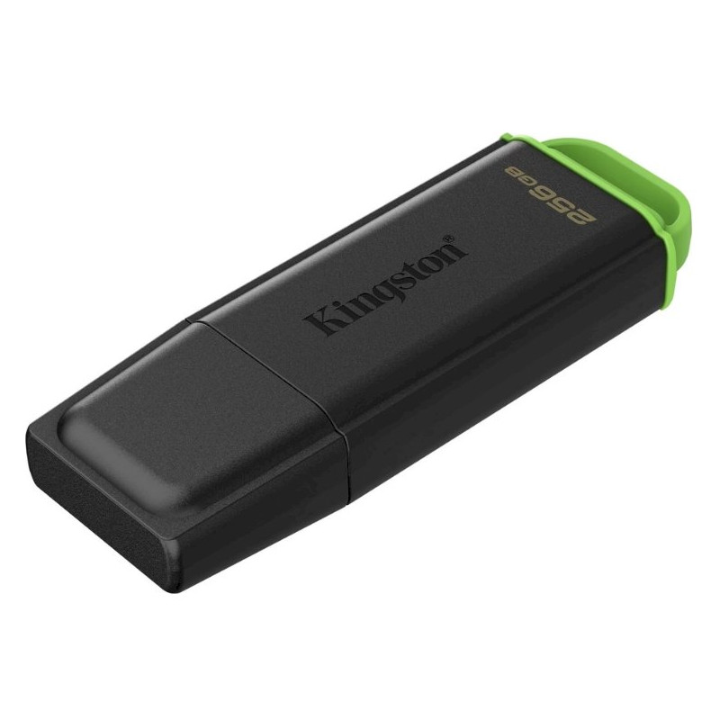 Kingston DTXG2/256GB