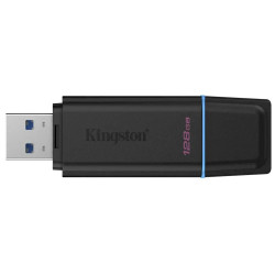 Kingston DTXG2/128GB