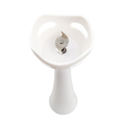 Esperanza Frappe Immersion blender