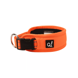 Quapas! QUP11263