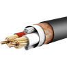UGREEN AV130 Cable XLR female to XLR male 1m / black