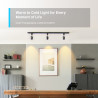 TP-Link Tapo L630 Smart bulb 3.7 W