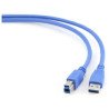 Gembird CCP-USB3-AMBM-0.5M USB 3.0 A-B Cable 0.5m / blue