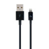 Gembird CC-USB2P-AMLM-2M