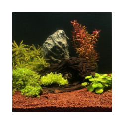 JBL Manado natūralus substratas akvariumo augalams 25 l