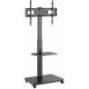 Gembird TVS-75S-02 TV floor stand with caster wheels for 37" - 75" TVs / black