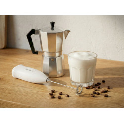 Esperanza EKF001W Handheld Milk Frother