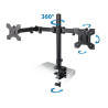 Esperanza ERW018