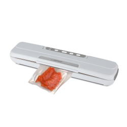 Esperanza EKV002 Vacuum Sealer 300mm