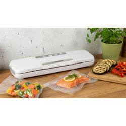 Esperanza EKV002 Vacuum Sealer 300mm
