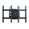 Esperanza ERW021