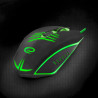 Esperanza EGM209G USB Optical Mouse 2400DPI