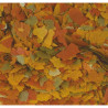 Tropical Goldfish Color maistas auksinėms žuvelėms 12g