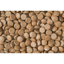 Tropical Nanovit smulkios tabletės 10 g