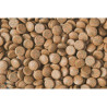Tropical Nanovit smulkios tabletės 10 g