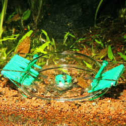 JBL LimCollect II sraigių gaudyklė