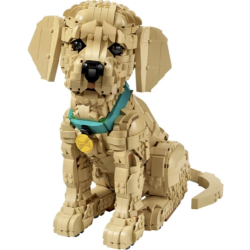 LEGO 11384