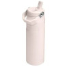 Stanley The IceFlow Bottle Flip Straw  2.0