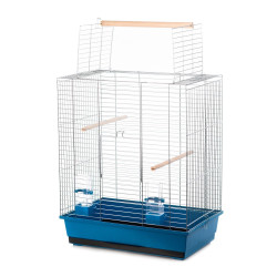 Inter-Zoo INTP061