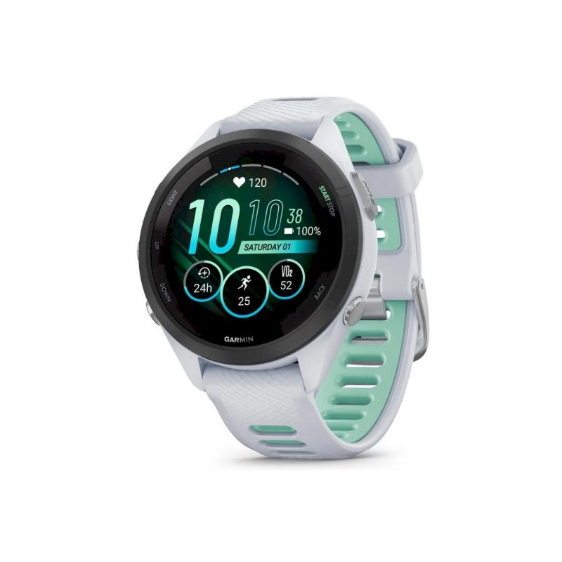 Garmin 010-02810-14