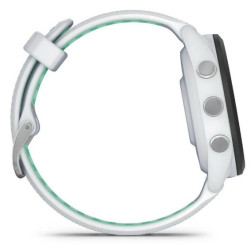Garmin 010-02810-14
