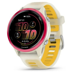 Garmin 010-02970-02