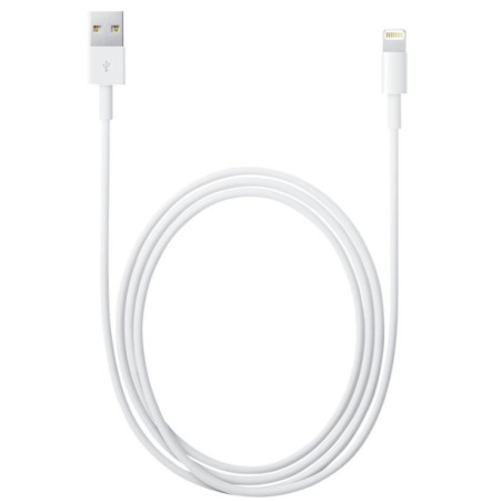 Apple Lightning MXLY2ZM/A USB data and charging cable 1m