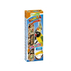 Nestor NESPSOT078
