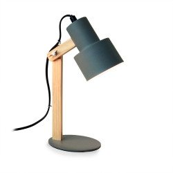 Platinet PTL2530G