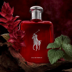 Ralph Lauren 3605972321794