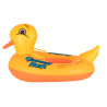 RoGer RO-DUCK