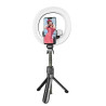 RoGer V14 Universal Tripod Stand for Selfie with LED Lamp
