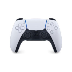 Sony CFI-ZCT1W/W