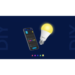 Govee H6009 RGBW Smart Light Bulb Bluetooth / Wi-Fi / E26 / 12W