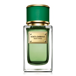 Dolce & Gabbana Velvet Cypress EDP U 150 ml