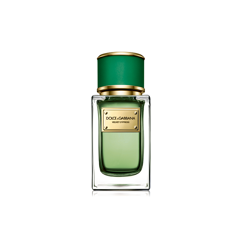 Dolce & Gabbana 730870225509