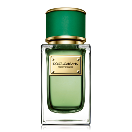 Dolce & Gabbana 730870225509