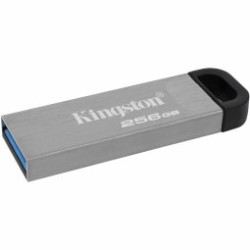 Kingston DTKN/256GB