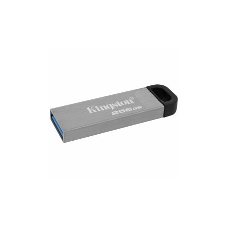 Kingston DTKN/256GB