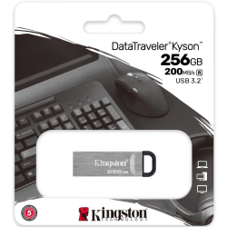 Kingston DTKN/256GB