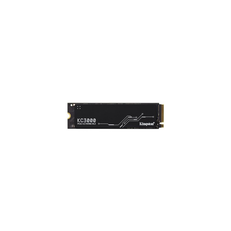 Kingston SKC3000S/1024G