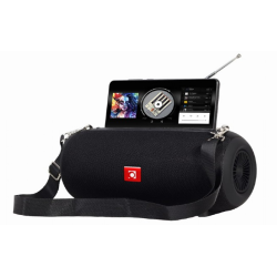 Gembird SPK-BT-17 Portable Bluetooth Speaker with Radio