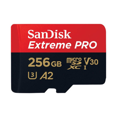 SanDisk SDSQXCD-256G-GN6MA