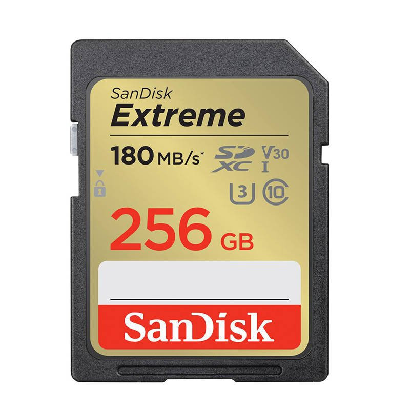SanDisk SDSDXVV-256G-GNCIN