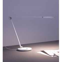 Xiaomi MJTD02YL