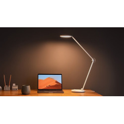 Xiaomi MJTD02YL