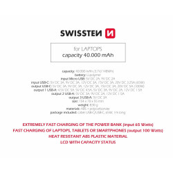 SWISSTEN 22013941